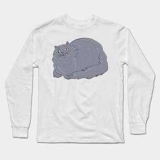 Fluffy Gray Cat Long Sleeve T-Shirt